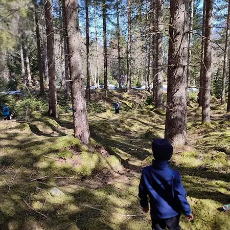 Апартаменты Haus Ferchl