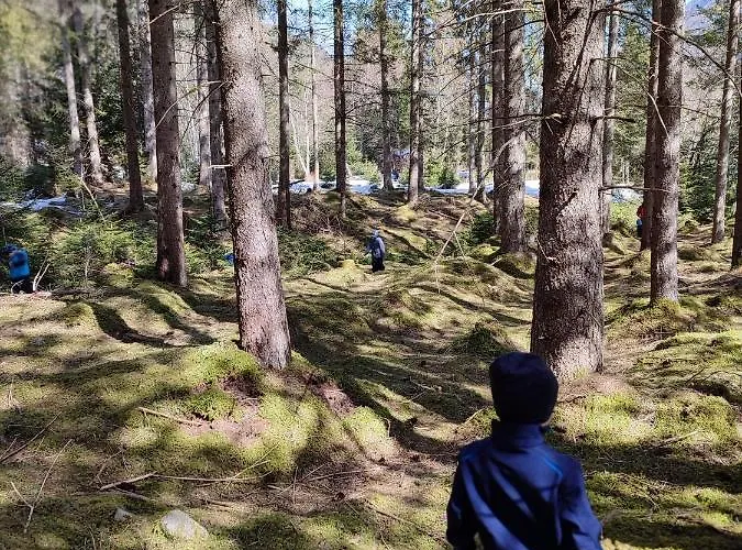 Apartman Haus Ferchl