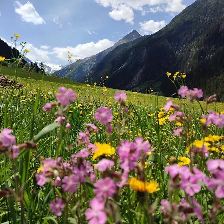 Haus Ferchl * نيوستيف ام ستوبيتا